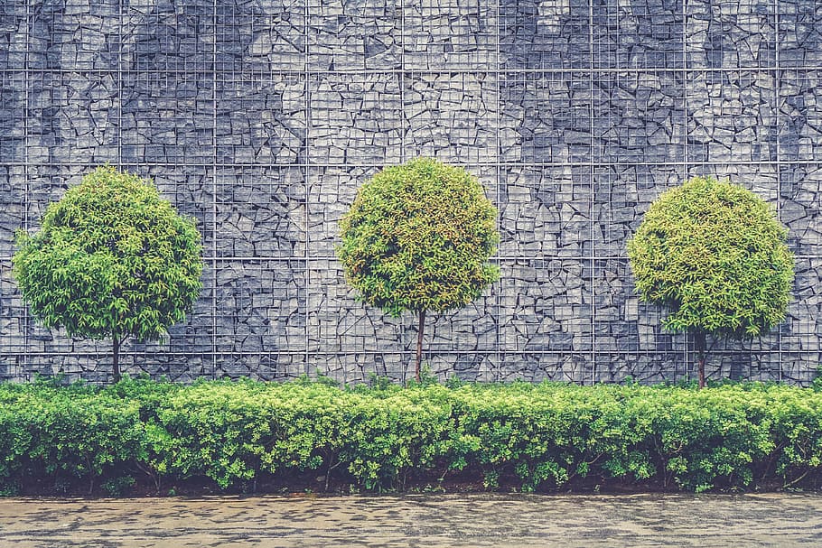 green leafed trees and plants beside chain fence, leafed trees in front of gray wall, HD wallpaper
