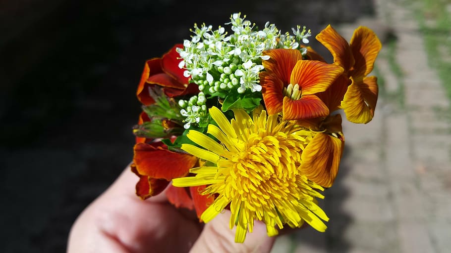 flowers, bouquet, summer, spring, spring bouquet, nature, sun HD wallpaper