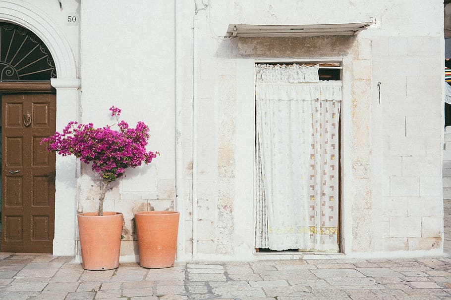 white concrete house with brown wooden 8-panel door, wall, flower HD wallpaper