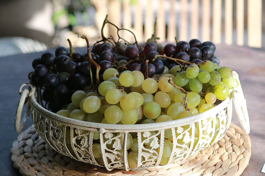 grape, fruit, nature, vine, fall, black grape, white grape HD wallpaper