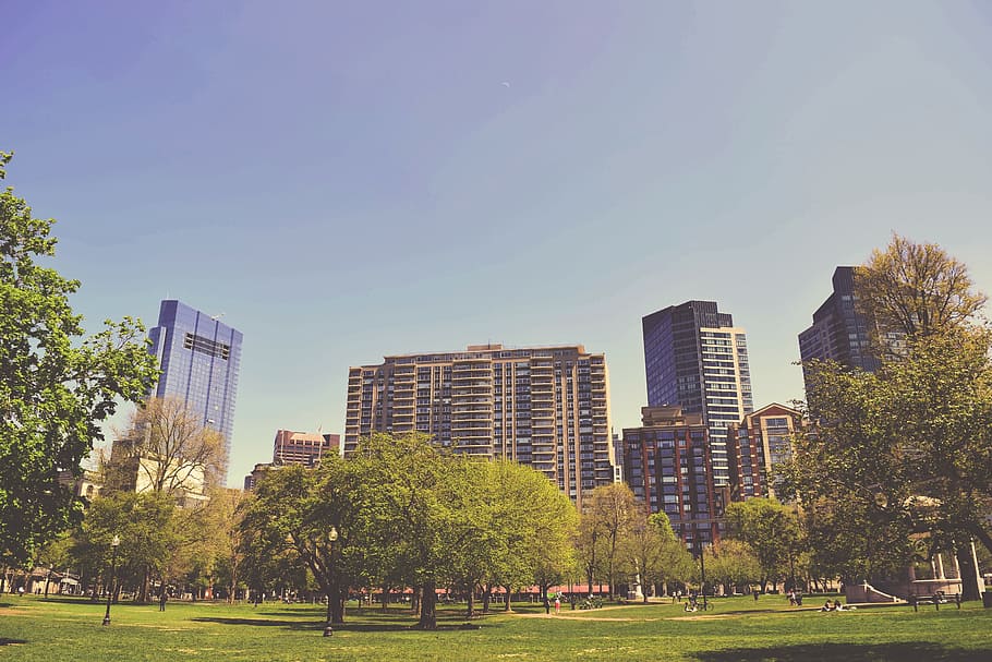 buildings, structure, architecture, park, playground, green HD wallpaper