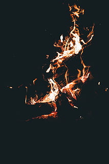 burning woods, Saturday Nights, fire, blaze, flame, orange, black HD wallpaper