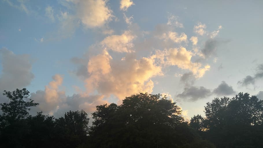 clouds, sky, trees, bright, pink clouds, plant, cloud - sky HD wallpaper