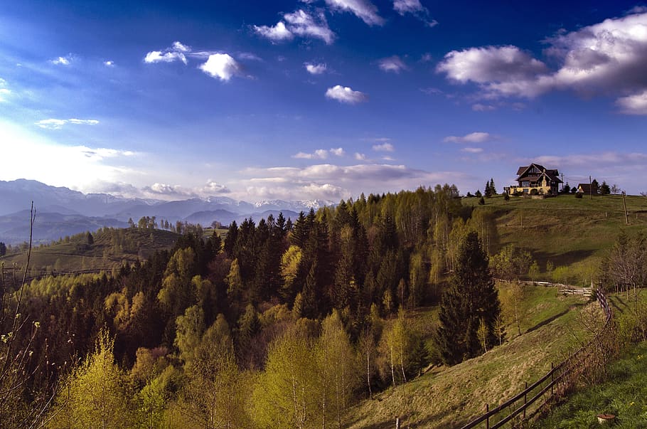 bucegi, romania, mountain, landscape, carpathians, europe, travel, HD wallpaper