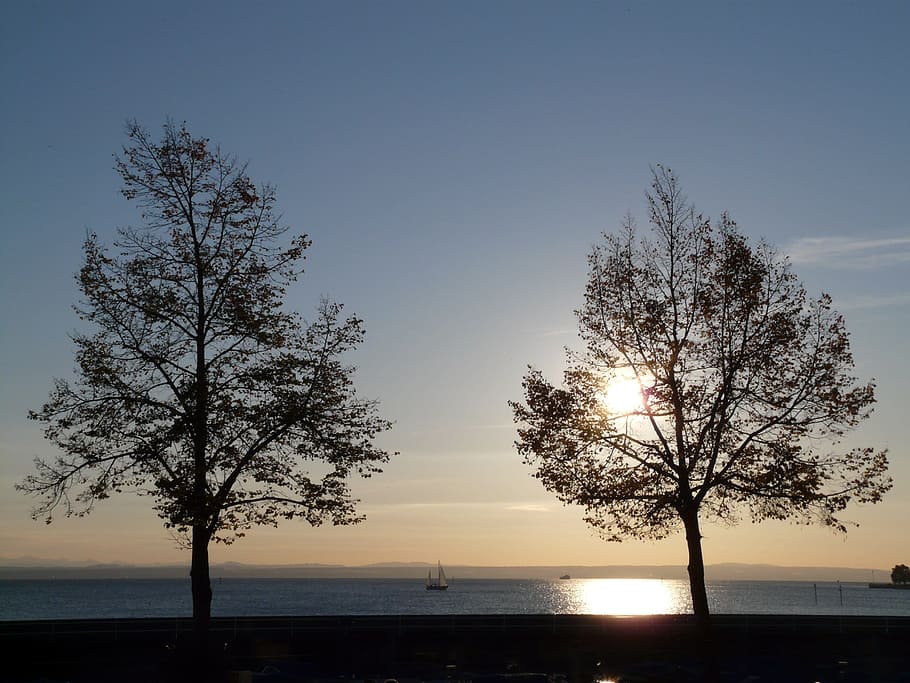 sunset, trees, water, lake, romance, sailing boat, lake constance HD wallpaper