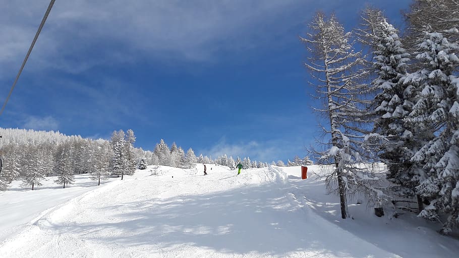 winter, ski, wintry, snow, nature, tree, forest, mountain, landscape HD wallpaper