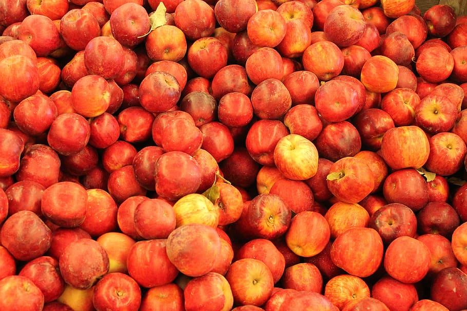 apples, red, red apple, fruit, food, nature, healthy, diet HD wallpaper