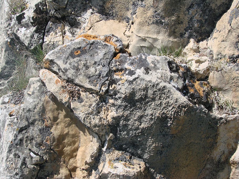 petrified, stone, prehistoric, rock, solid, rock - object, rock formation HD wallpaper
