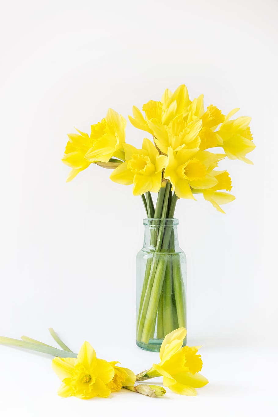 HD wallpaper: yellow, followers, tulips, freshness, flowering plant, vase |  Wallpaper Flare