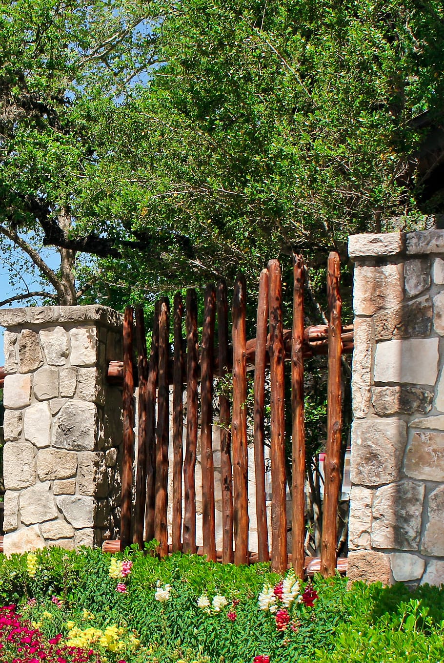 garden, gate, texas, plant, growth, nature, day, grass, tree HD wallpaper