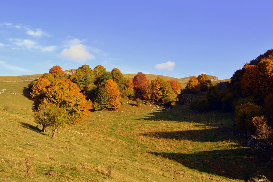 excursion, trees, autumn, trail, mountain, the european path HD wallpaper
