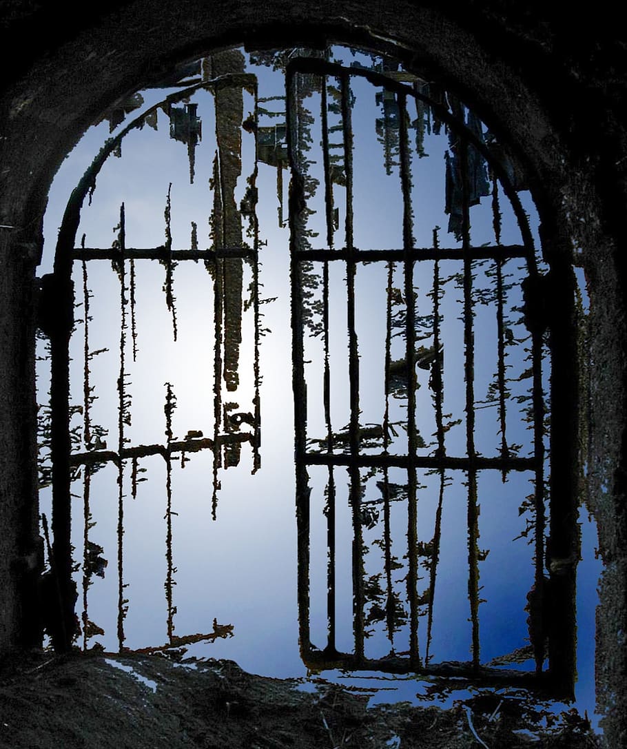 gate, tunnel, architecture, built structure, no people, reflection HD wallpaper