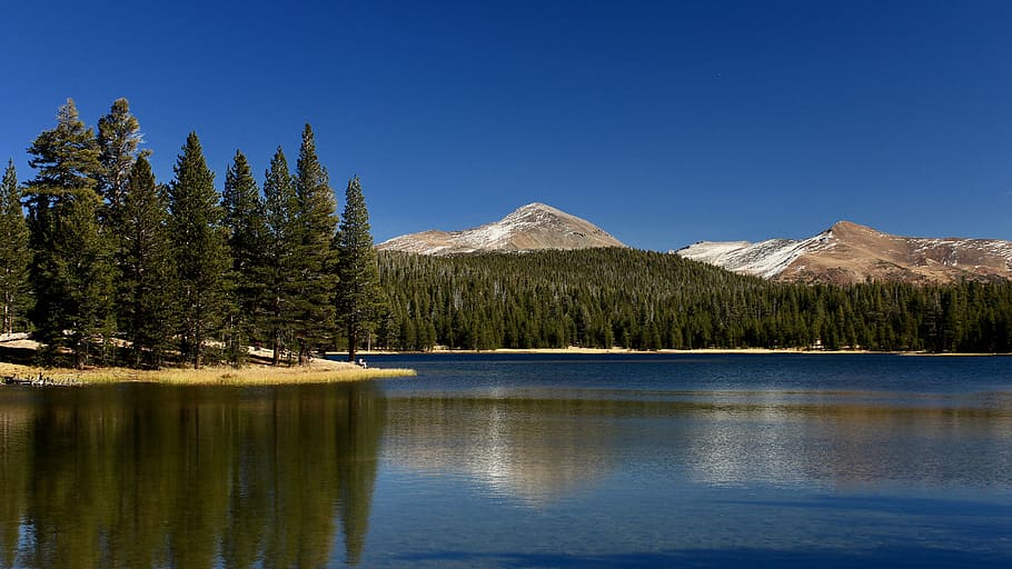 body of water surrounded by trees during daytime, body of water near trees during daytime HD wallpaper