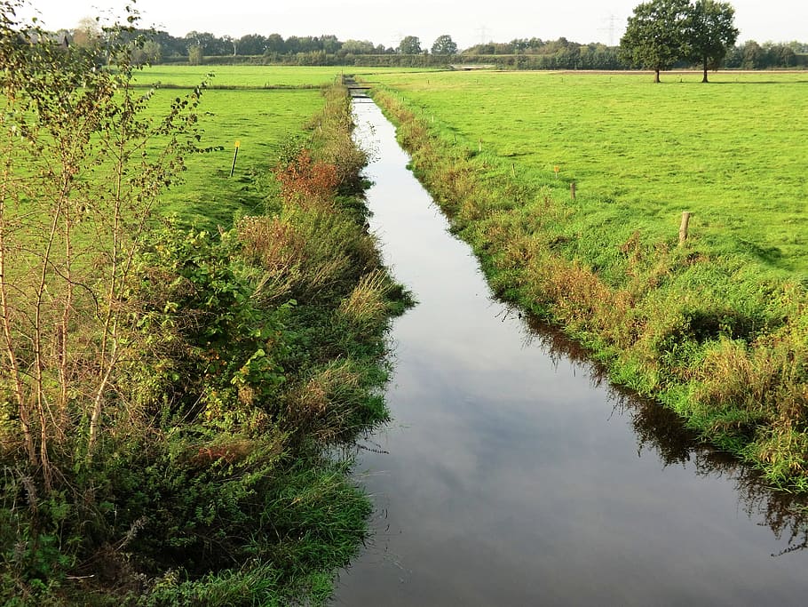 River, Au, Bach, Water, reported, landscape, bank, mecklenburg HD wallpaper