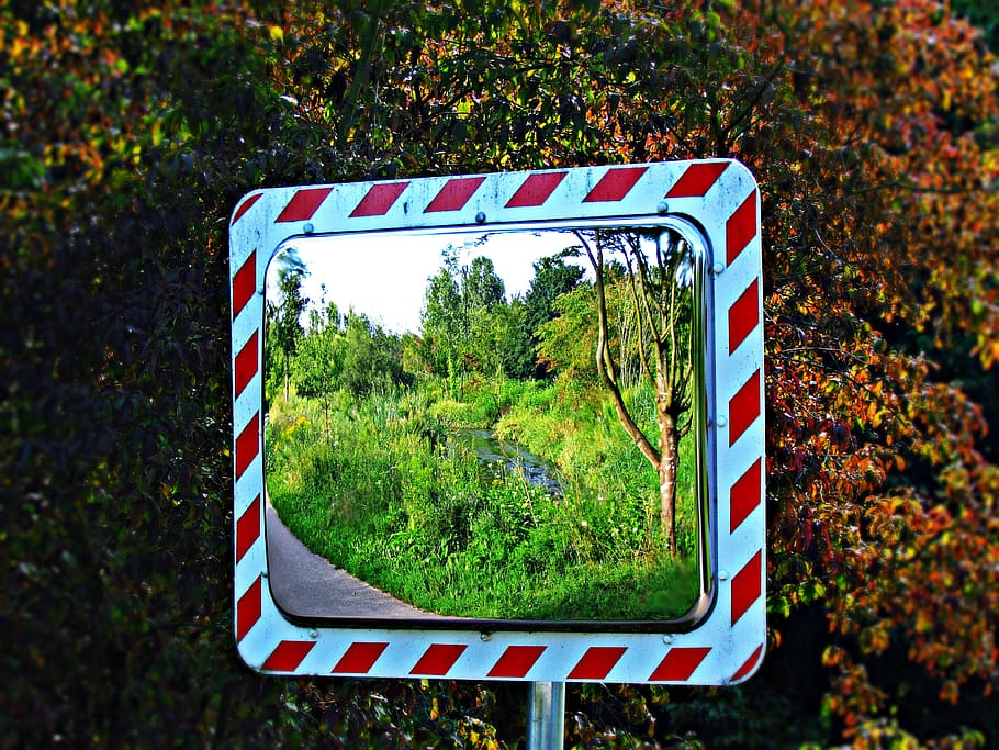 mirror, reflection, green, nature, view, plant, day, tree, no people HD wallpaper