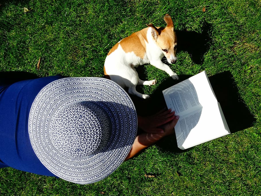 high angle view of person reading book beside dog on green grass HD wallpaper