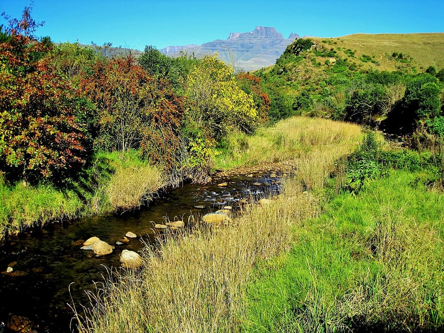 mountains, river, stream, grass, trees, nature, plant, tranquility HD wallpaper