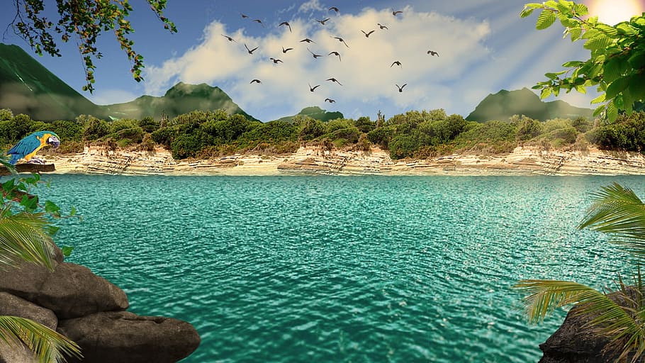 flock of birds flying upwards above blue sea, tropical, exotic HD wallpaper