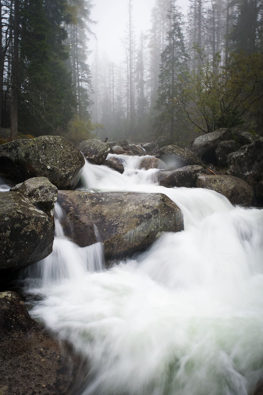 water, waterfall, river, stream, nature, tatra mountains, slovakia HD wallpaper