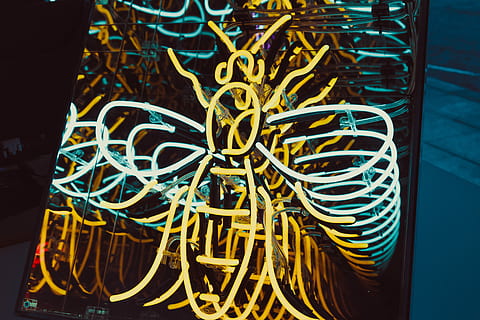 Neon III, turned on yellow and blue bee design LED lights at nighttime HD wallpaper