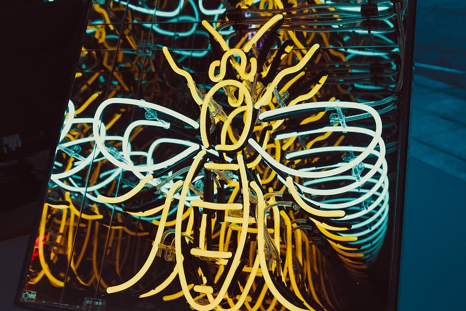 Neon III, turned on yellow and blue bee design LED lights at nighttime HD wallpaper