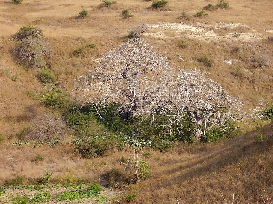 Angola, Luanda, Landscape, nature, desert, scenics, outdoors HD wallpaper
