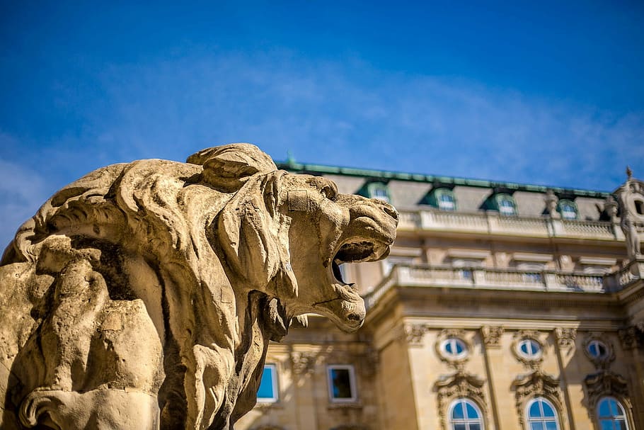 budapest, hungary, castle, statue, lion, architecture, travel destinations HD wallpaper