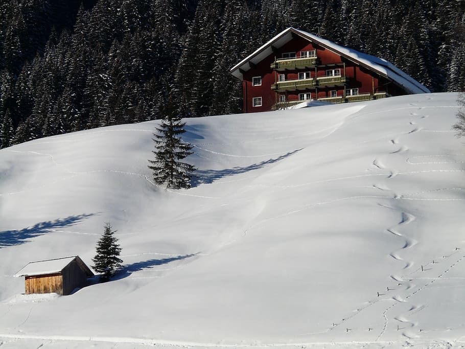 Skiing, Trace, Wag, Snow, traces, in the, ski lodge, hut, winter, HD wallpaper