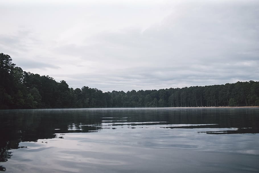 lake, landscape, nature, reflections, pond, trees, water, sky HD wallpaper
