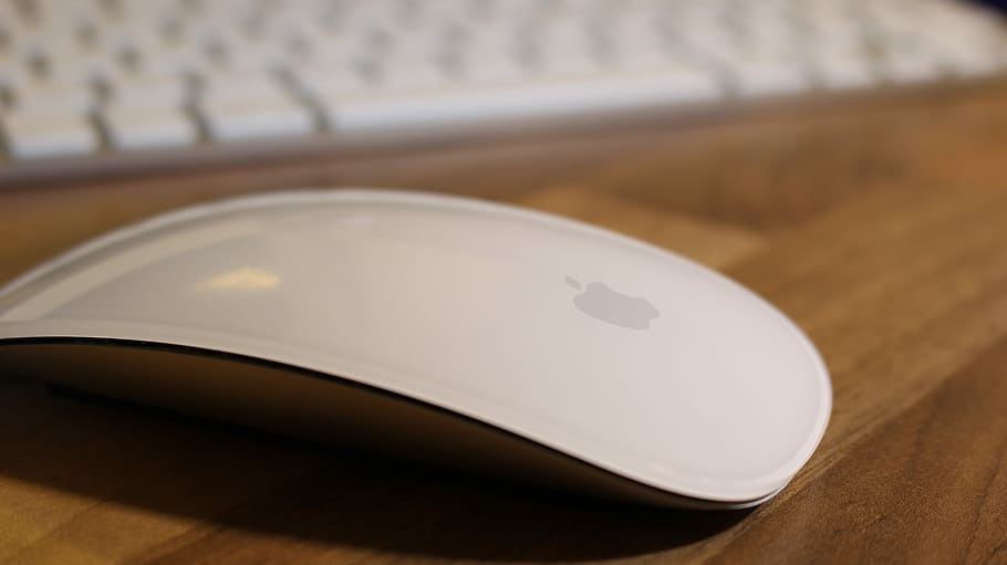 Apple, Magic, Mouse, Computer, close-up, table, no people, indoors HD wallpaper