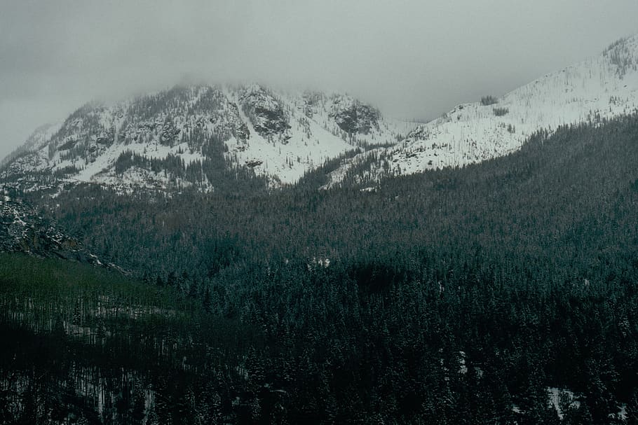 nature, mountains, snow, trees, forest, scenics - nature, beauty in nature HD wallpaper