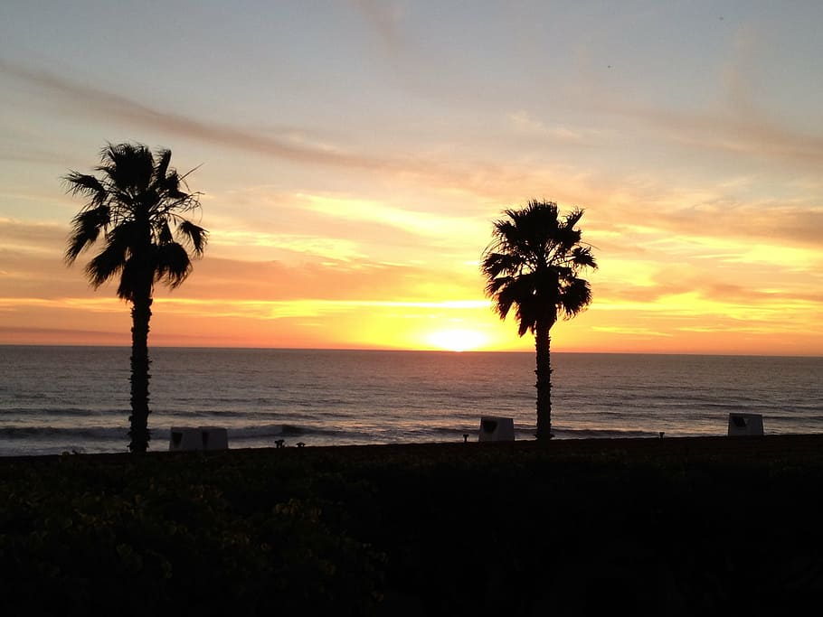 mexico, palm trees, sunset, ocean, beach, water, sea, sky, scenics - nature HD wallpaper
