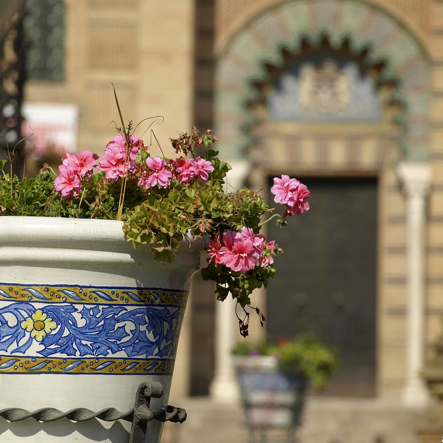 flower, ceramic, park, flowering plant, architecture, built structure HD wallpaper