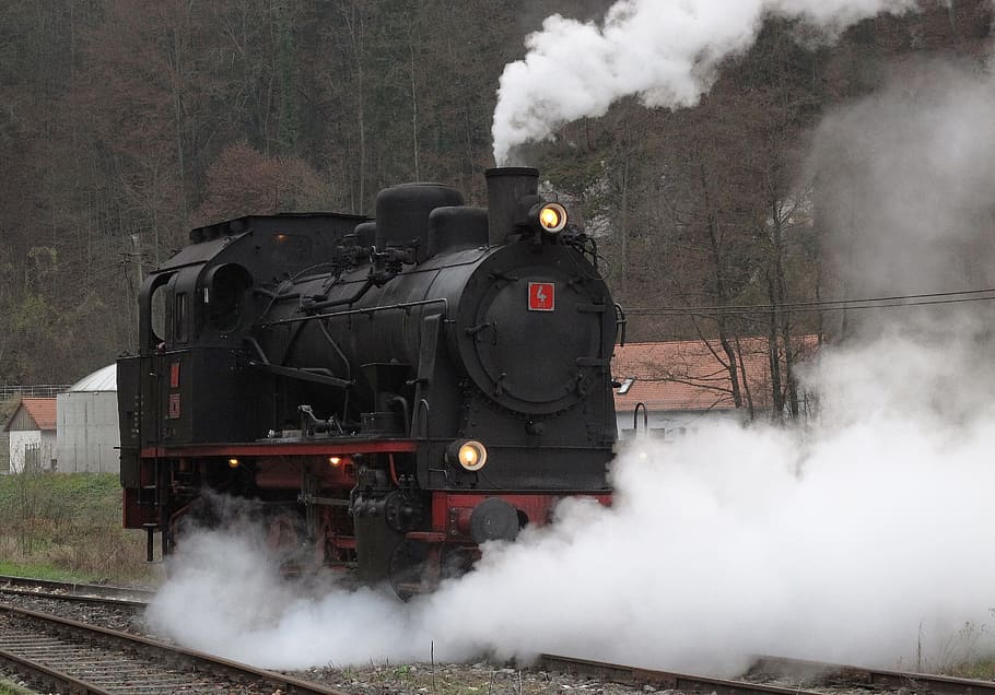 steam locomotive, tank locomotive, museum, train, railway, steam railway