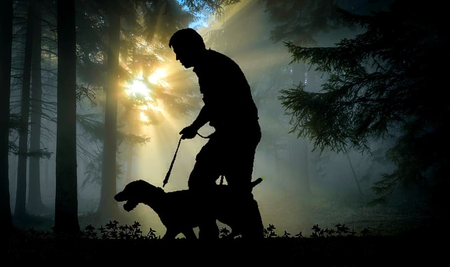 silhouette of a man holding a leash of dog in the woods with during golden hour, HD wallpaper