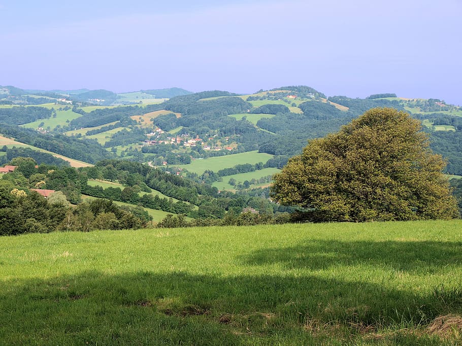 landscape photography of green mountains, green grass with trees HD wallpaper