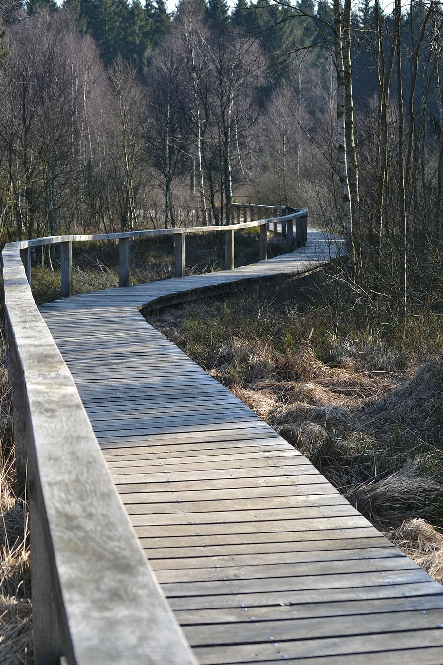 away, bridge, endless, railing, landscape, tree, plant, connection HD wallpaper