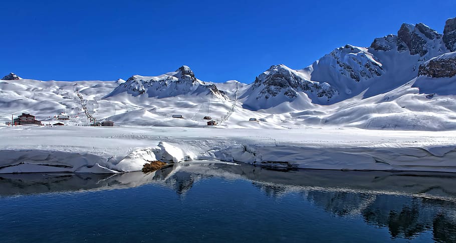 sea lion near shore, snow covered mountain across body of water at daytime HD wallpaper