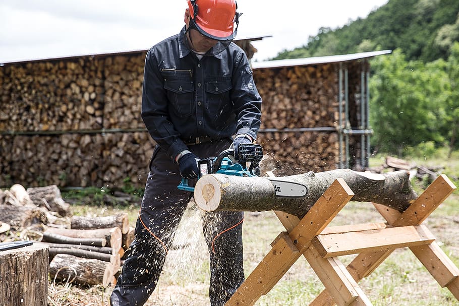 man cutting log with chainsaw, worker, ppe, one person, real people HD wallpaper