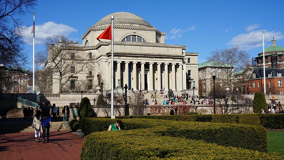 brown building under blue sky during daytime, columbia university, HD wallpaper