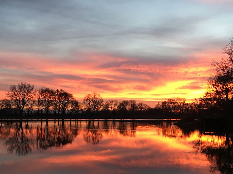 lake, sunset, nature, tree, beauty in nature, sky, tranquility HD wallpaper