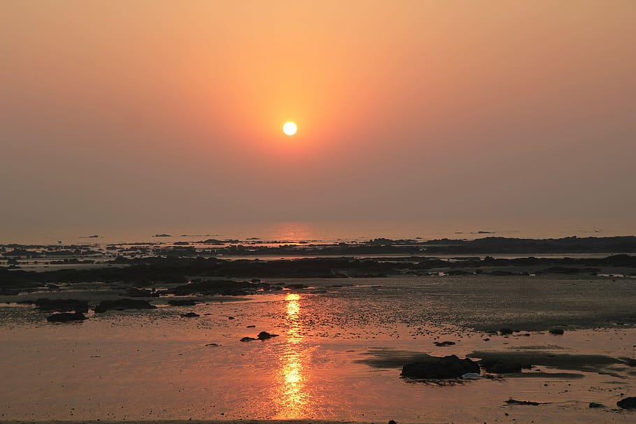 sunset, orange, beach, nature, reflection, water, sky, sea HD wallpaper