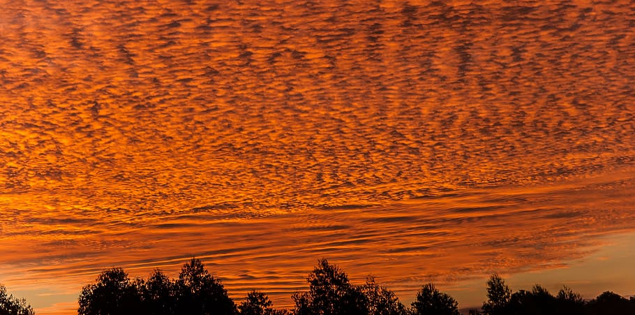 sunset, sky, clouds, orange, gold, pattern, australia, horizon HD wallpaper