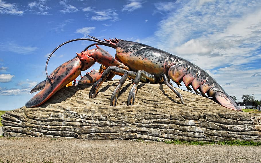 lobster under clear day sky, Shediac, Canada, New Brunswick, icon, HD wallpaper