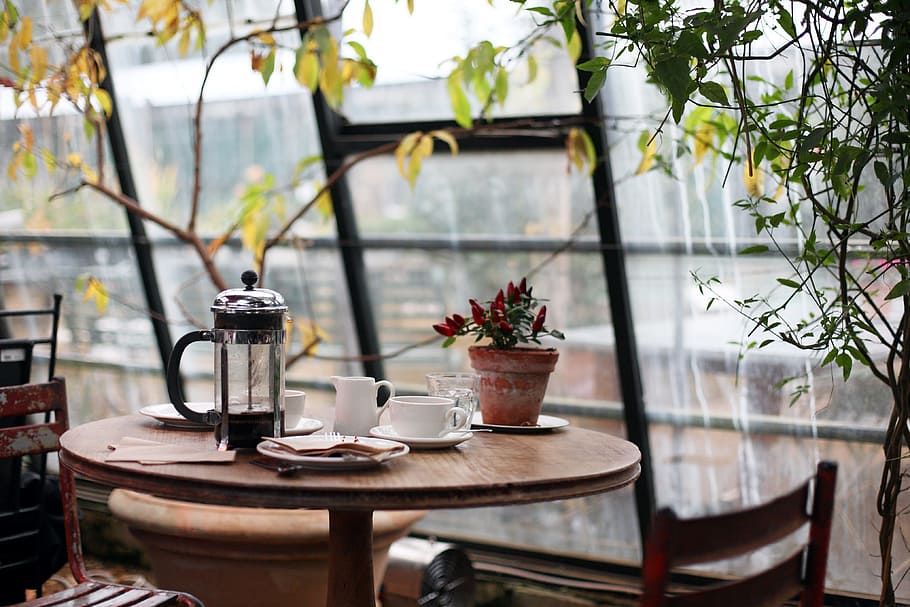kettle and plates on table, conservatory, coffee, plants, sunlight HD wallpaper