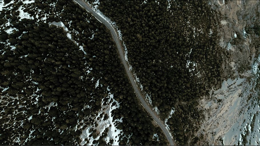 aerial photography of road between forests, aerial view photography of of mountain HD wallpaper