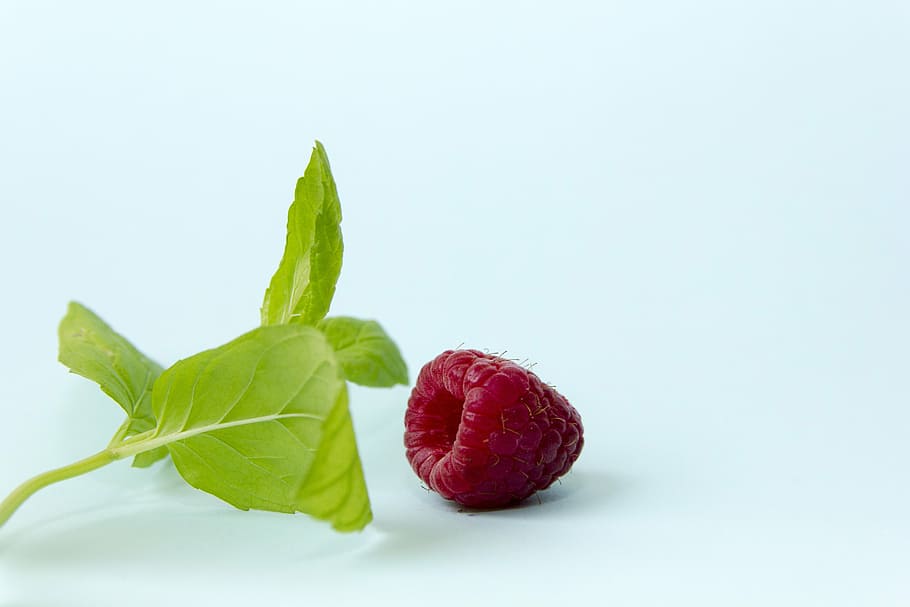 red fruit, raspberry, basil, macro, still life, herb, spice HD wallpaper