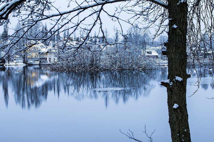 winter, landscape, snow, cold, tree, branches, nature, river HD wallpaper