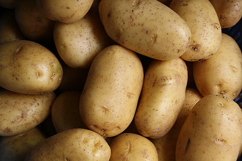 potatoes, pattern, shadow, light, vegtable, food, food and drink HD wallpaper