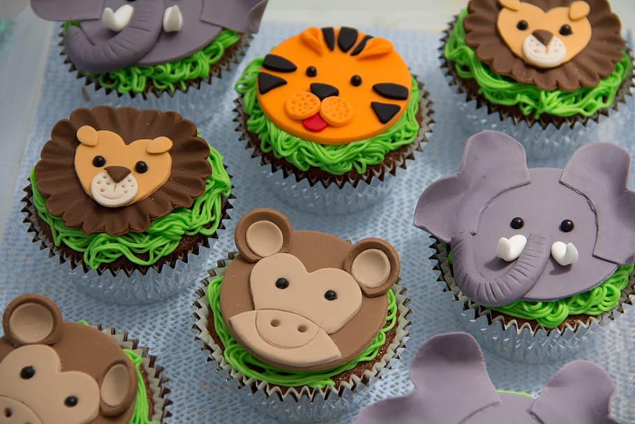animal-themed cupcakes, candy, sweeets, fun, party, celebration